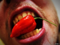 世界最辣的辣椒:印度”魔鬼椒”，印度計劃用來做炸彈