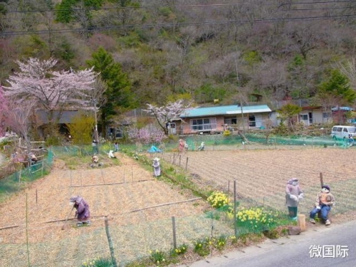 日本這個農村，有近500個“人”，卻唯有一個老婦人能開口說話