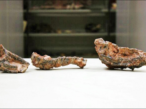 中英對照讀新聞》Fossils of ancient crocodile-like reptile found in Brazil 巴西發現遠古類鱷爬行動...