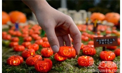 世界上最小的南瓜燈:太萌了吧