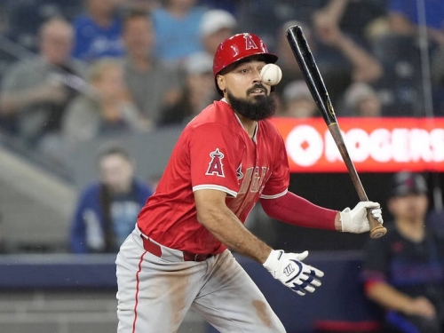 MLB》80億薪水大盜本季高機率報銷！ 天使老闆：全都怪我