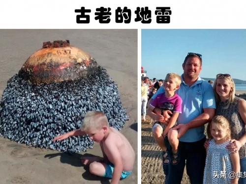 沙灘上的奇怪發現：人們在沙灘上意外找到的6個奇怪發現