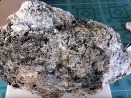 發大財！海邊拾荒發現「臘狀怪石」 他有望爽賺2400萬