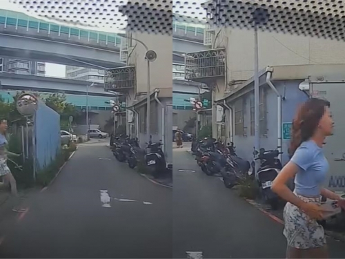 最正三寶！她衝馬路險被撞秒露「甜笑道歉」 網瞬間融化氣消