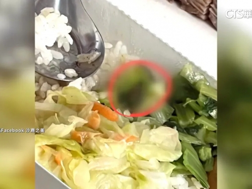噁! 燒臘便當＂青菜夾小強＂ 民控業者態度差沒道歉