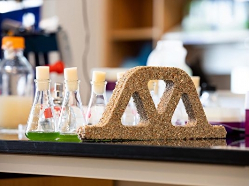 研究：微菌混合沙土造出會生長的水泥