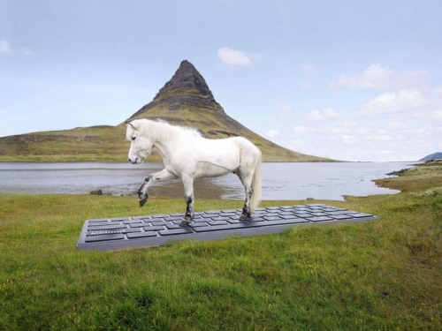 度假不想回工作郵件 冰島觀光局︰我們讓馬兒幫你回