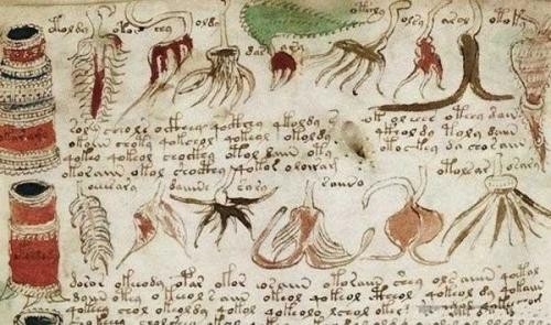 世界7大「天書」，至今無人能解！