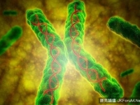 科學家發現細胞“返老還童”方法