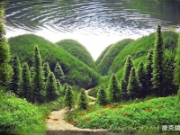 小小水族箱也能有無限大創意-「世界水草造景大賽」