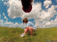 透過動物眼中看世界　寵物脖子上掛相機！