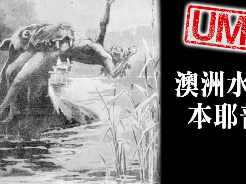 【UMA檔案】澳洲水獸本耶普-水陸兩棲的神秘生物!! Bunyip