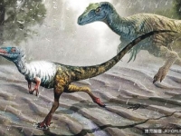 世界最小恐龍形如麻雀 大量足印四川曝光