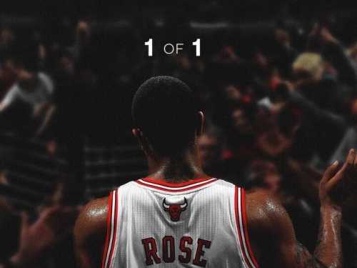 NBA》1號球衣永遠屬於芝加哥！ 公牛將退休「飆風玫瑰」羅斯背號