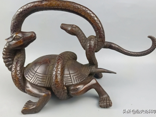 神獸“玄武”果然存在，因肉質鮮美，在2000年前被人類吃光