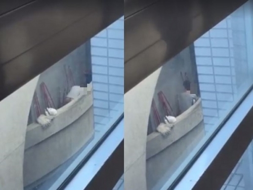 影片還沒刪！校園內「活春宮」女學生早起到校「練直笛」影片看得我好羨慕...