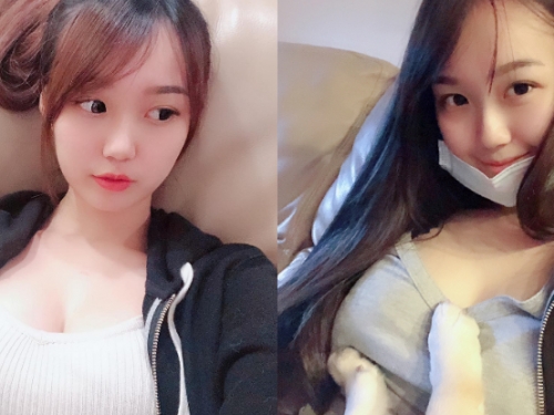 甜美「正妹家教」乳量驚人　連貓咪都忍不住伸出手偷摸！網友：我也需要補習