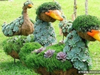 園藝師打造的神秘花園，美呆了！真的是太漂亮了！