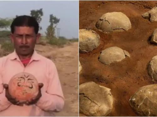 農村世代供奉「神祕石球」 專家揭真相：1.75億年前寶物