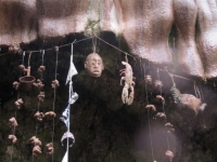 駭人聽聞！將所有接觸到的東西全都變成石頭，這個「被惡魔詛咒的泉水」究竟是...？