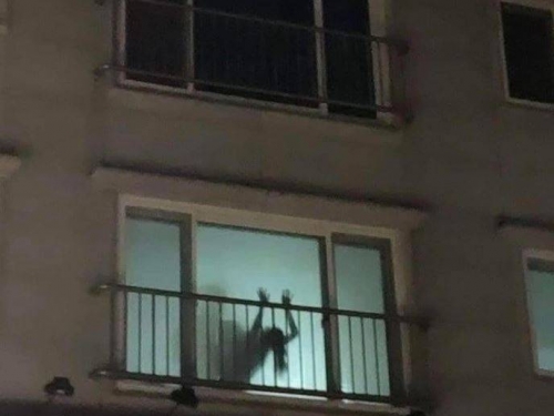 超自然現象？ 隔壁常有奇怪慘叫碰撞聲 網友一看照片秒懂了