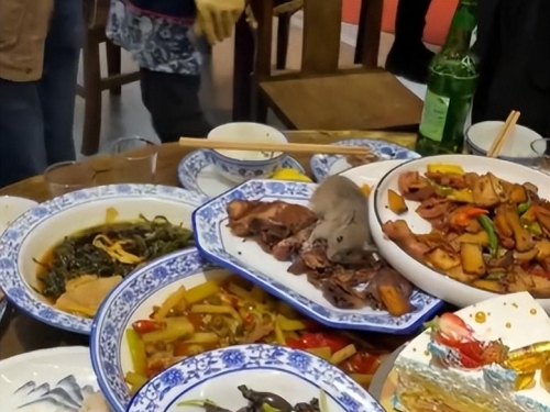 料理鼠王？吃飯驚見米奇從天而降 顧客全吐了