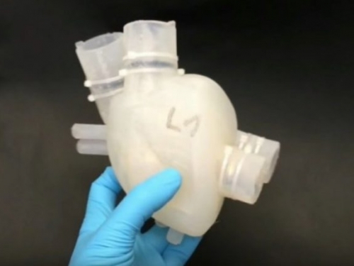 3D 列印技術造出世界首個軟體人工心臟，能跳動半小時