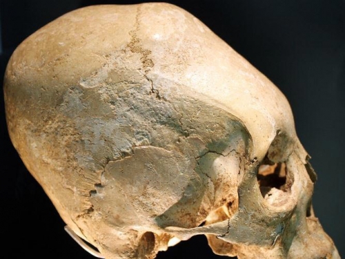 消失兩千年的匈奴去哪了? DNA結果震驚歐洲：我們祖上還有這層關係?