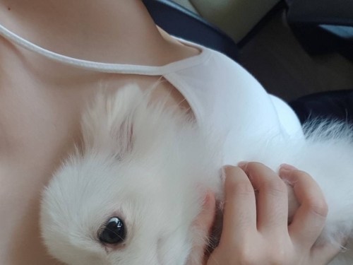 藏不住！「童顏巨乳妹」過人乳量大爆發！衣服好緊好撐快變形啦…