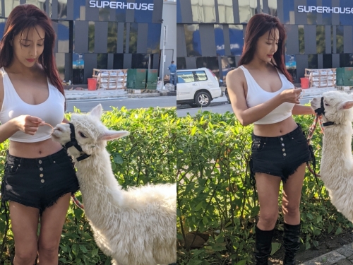 找到了！台中街頭遇「草泥馬辣妹」畫面引瘋傳！超飽滿身材實在太吸眼球了