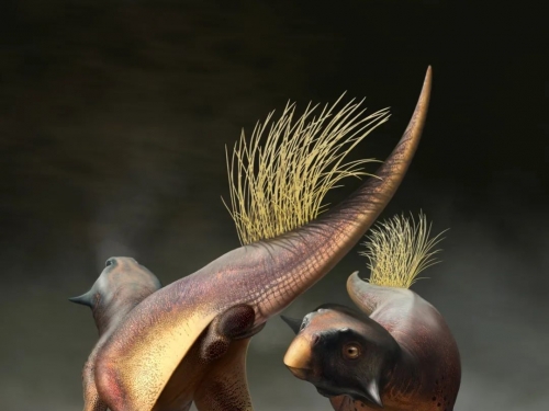 1.2億年後，人類終於首次知道恐龍的"菊花"長什麼樣了！……？
