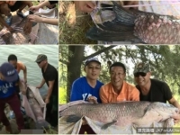 江蘇徐州釣客蹲守7日釣獲百斤大魚 合照後放生
