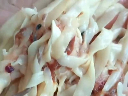 噁！活魚剖腹赫見滿肚子「刀削麵」 她煮熟照吃才知是寄生蟲