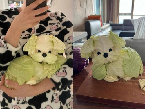 唯妙唯肖！她DIY「高麗菜小狗」 超逼真萌翻百萬網友