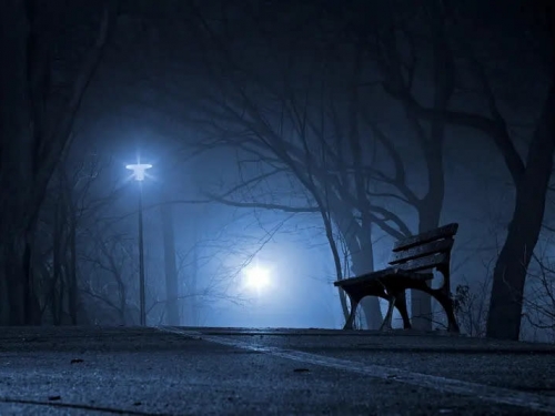 中國人持手電筒半夜逛東京公園！日媒揭真相