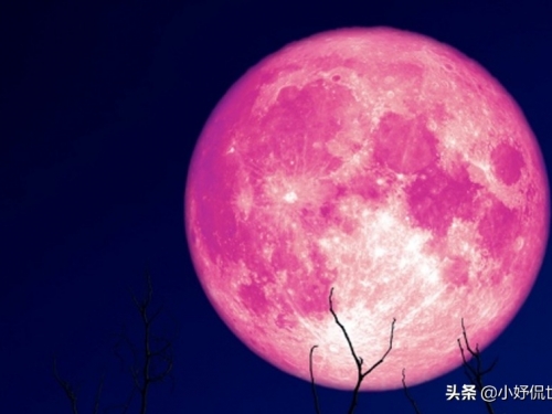 在今年，足以讓我們眼前一亮的9個天文學事件