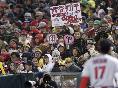 MLB》天使主場因大谷翔平成旅遊勝地！台灣「谷粉」躍上美媒