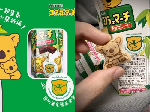順手做公益！購買這款「巧克力餅乾」救助澳洲無尾熊，快到超商買起來！