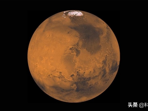 火星人會吃什麼？報告稱，火星上SpaceX殖民地將以昆蟲為食