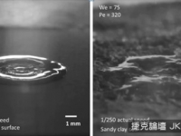 雨後聞起來悶悶，科學家：雨氣所造成