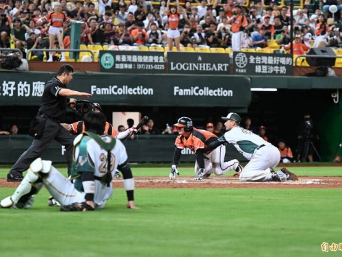 中職》本季第8次挑戰5成勝率 台鋼雄鷹又「獅」敗了