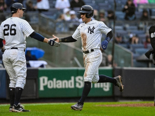 MLB》「法官」全壘打遭美技沒收 響尾蛇牛棚放火讓洋基逆轉勝