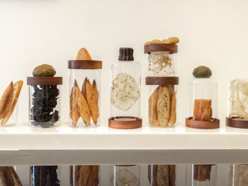 是餐廳？還是藝廊？The Seedin Lab 集結三方創新品牌打造「我吃了一個展覽」！