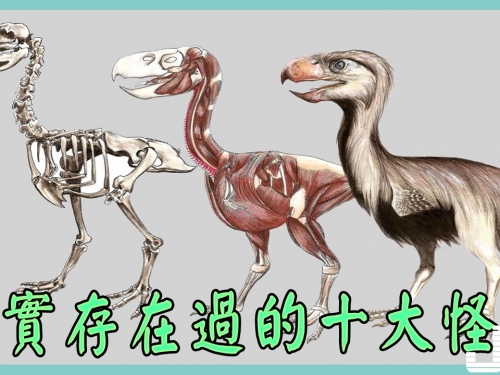 真實存在過的十大怪獸!帝鱷最愛吃恐龍！