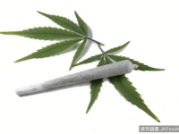 揭開對歪果仁的偏見，希臘人超勤奮！