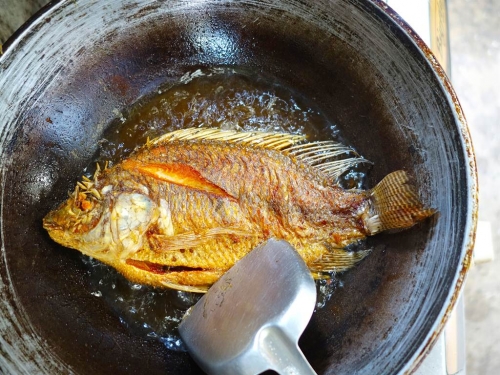 「活死魚」炸熟後突復活亂跳2分鐘 用力過猛折斷尾巴