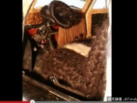 義大利「毛茸茸汽車」頂20公斤頭髮　身價高達293萬