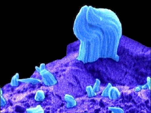 中日對照讀新聞》小惑星イトカワに「鉄のひげ」 小行星「系川」上發現「鐵鬍鬚」