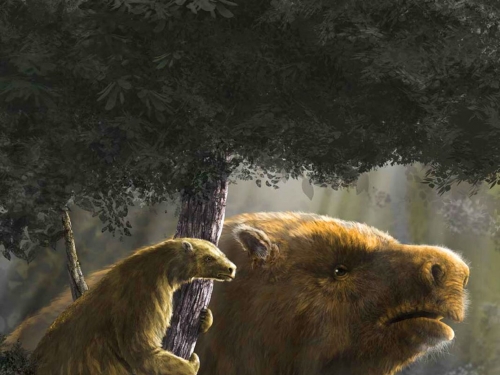 巨型樹懶的崛起與滅絕：氣候、棲地與人類三重壓力下的演化悲歌