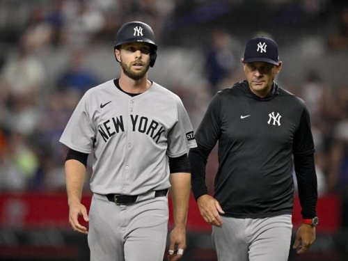 MLB》外卡快不保的洋基頭大！用農場潛力換來的外野手打3場進傷兵